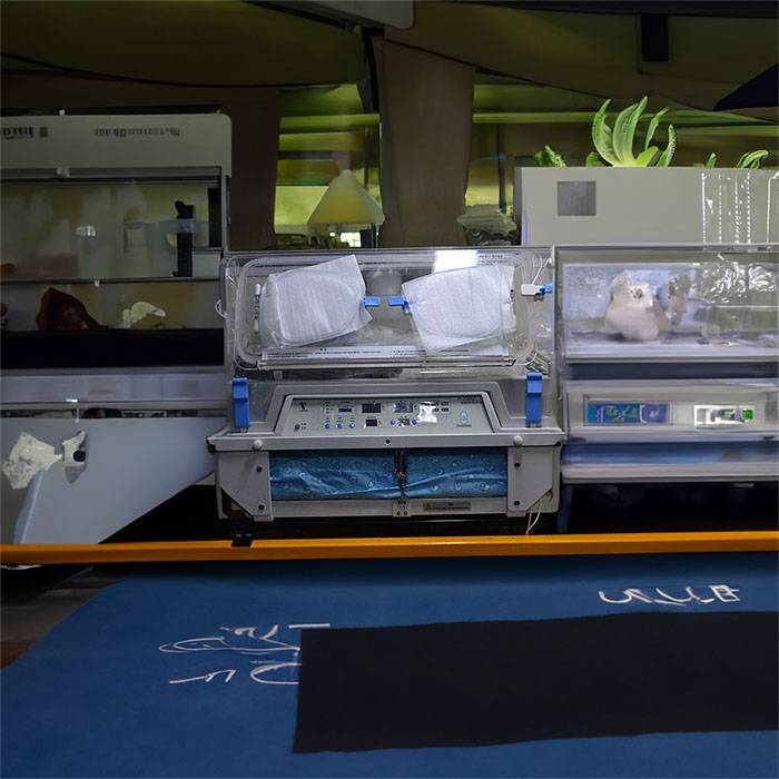 今日更新兰州市租赁救护车联系方式 120出租联系方式 120租车多少钱