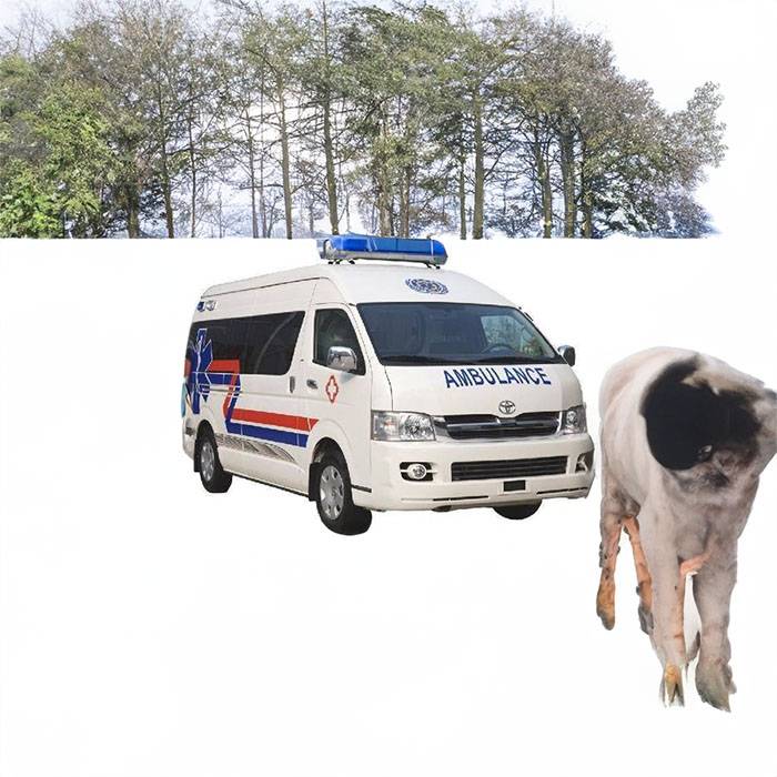 武威市租赁私人救护车电话号码 救护车为什么叫救护车 2023